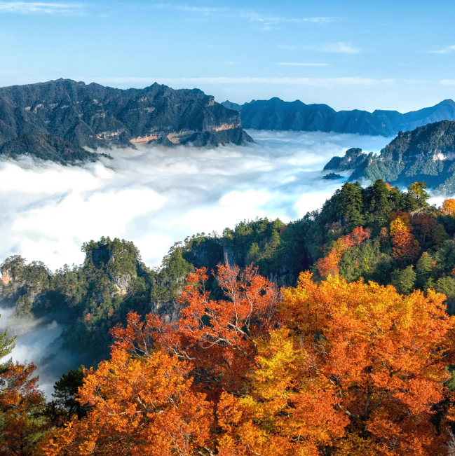 四川光雾山国际红叶节海外媒体传播案例